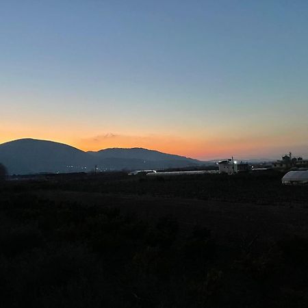 Harmony Villa Берат Екстериор снимка