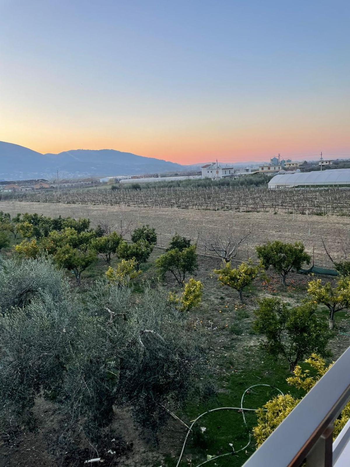 Harmony Villa Берат Екстериор снимка