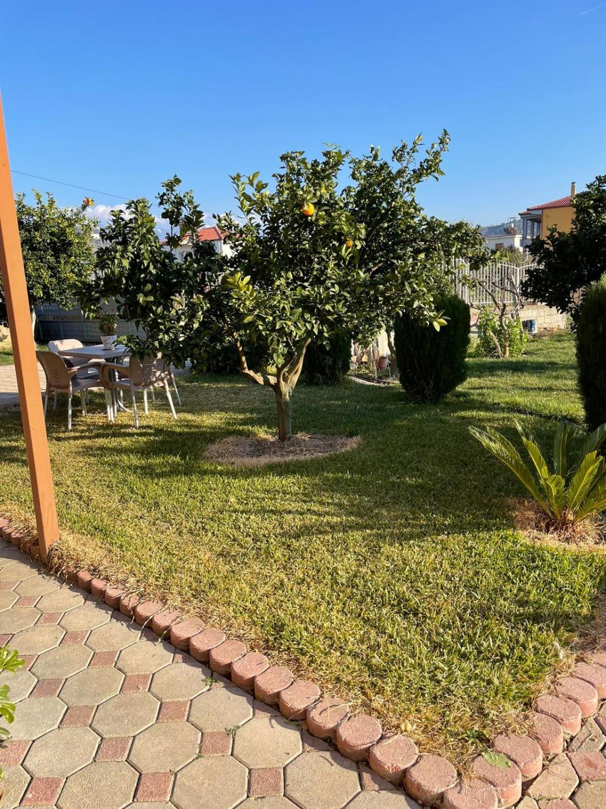 Harmony Villa Берат Екстериор снимка